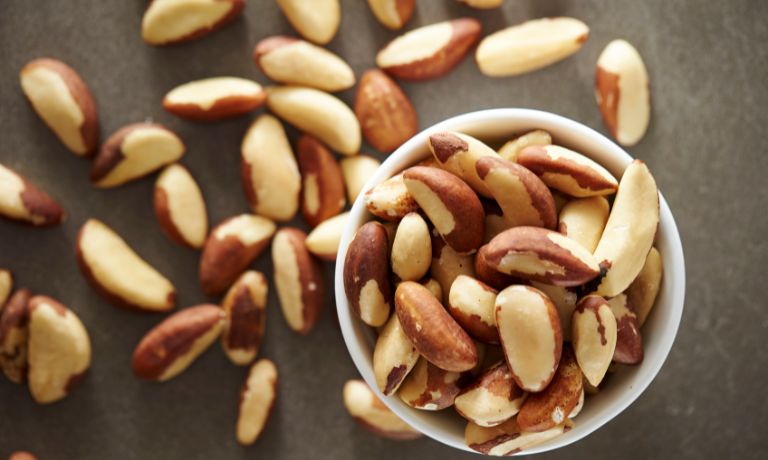 What Are Brazil Nuts?