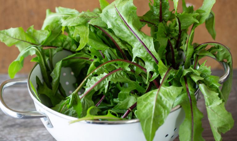 What Are Dandelion Greens?