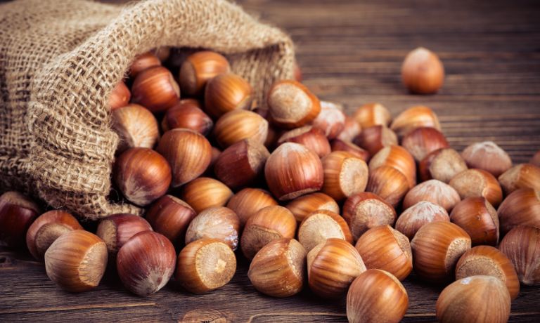 What Are Hazelnuts?
