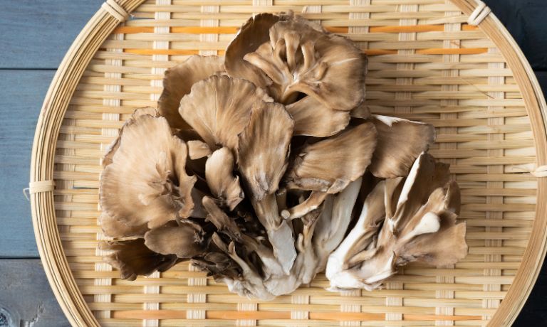 Maitake Mushrooms