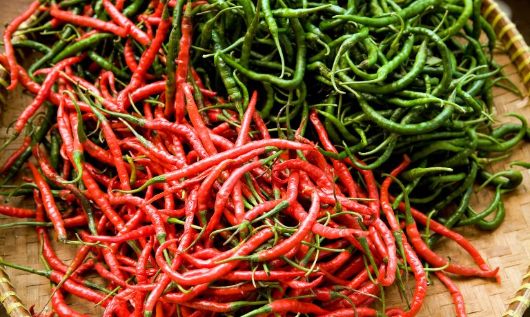 Thai Chili Peppers